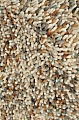Moderní vlněný kusový koberec B&C Pop Art 066901 Brink & Campman - 140 x 200