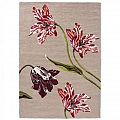 Outdoorový koberec Ted Baker Botanical Tulip Burgundy 455610 Brink & Campman